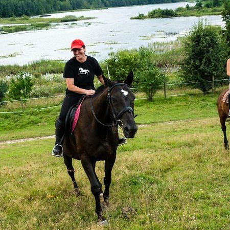 Stajnia Grazyny Mikorowo 46 Villa Czarna Dabrowka Exteriör bild