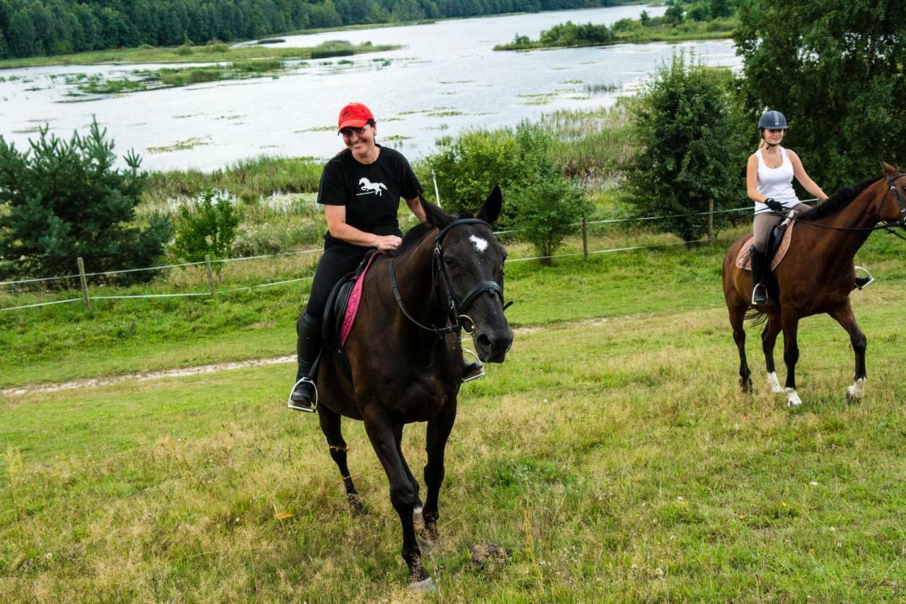 Stajnia Grazyny Mikorowo 46 Villa Czarna Dabrowka Exteriör bild