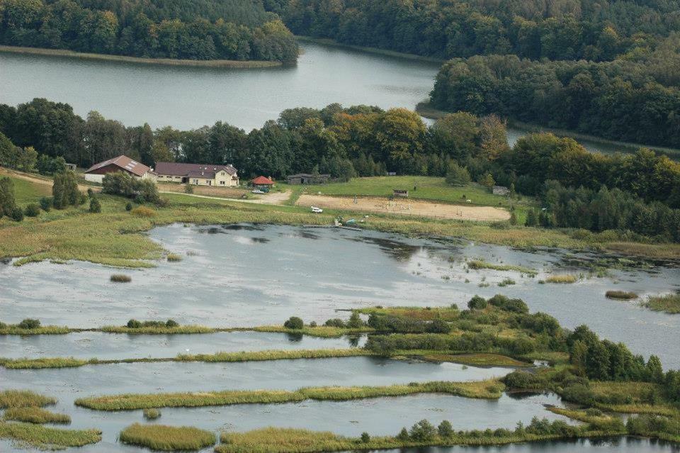 Stajnia Grazyny Mikorowo 46 Villa Czarna Dabrowka Exteriör bild